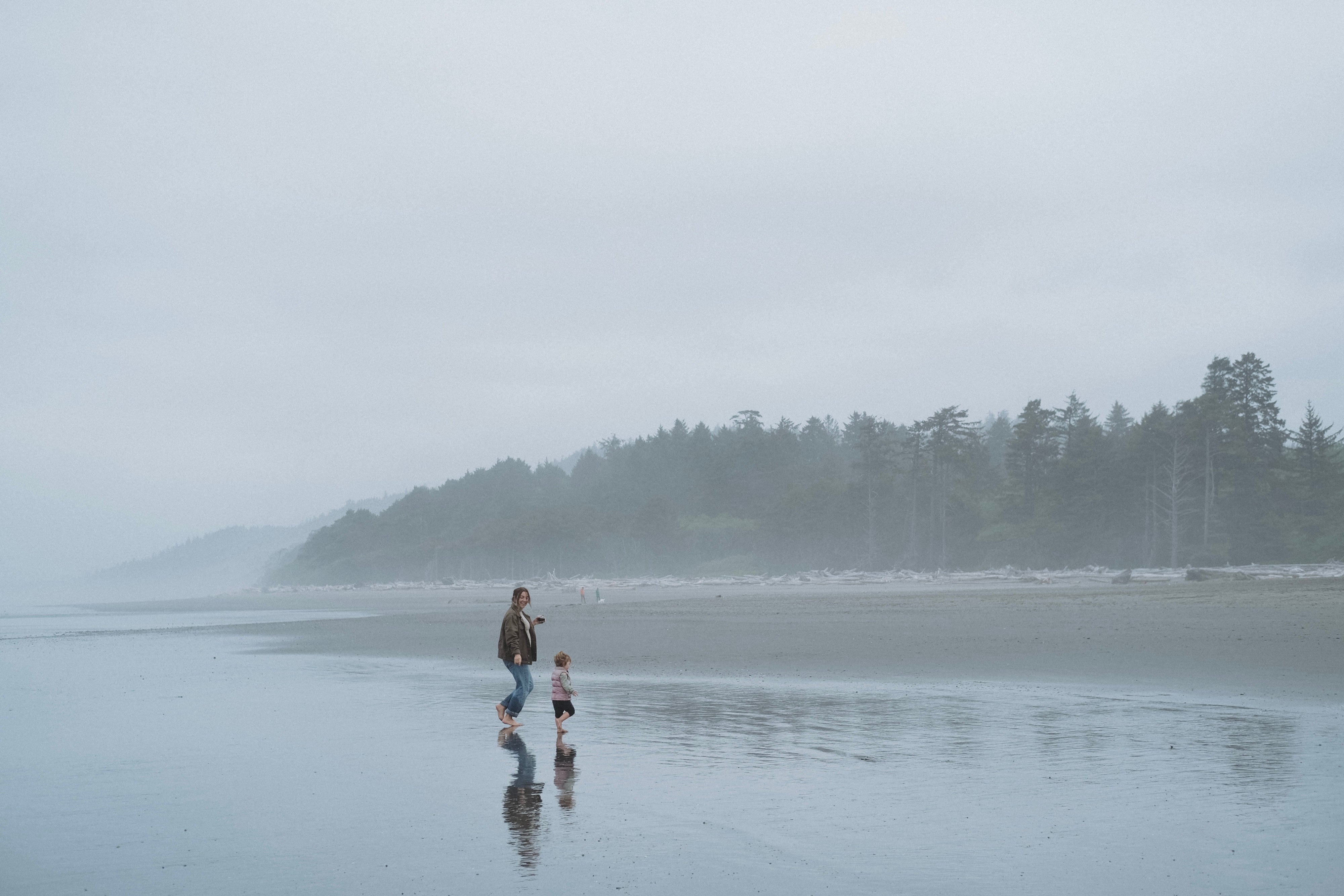 Road Trip Through Olympic National Park
